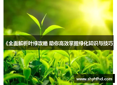 《全面解析叶绿攻略 助你高效掌握绿化知识与技巧》