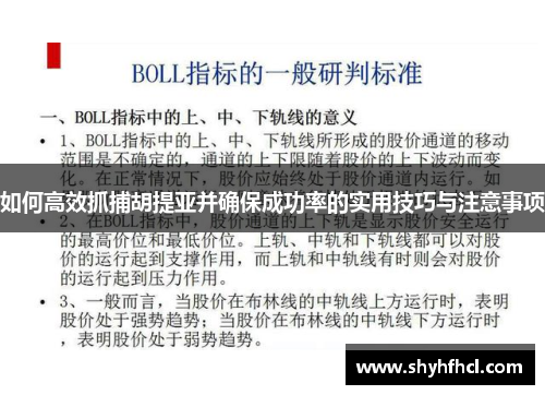 如何高效抓捕胡提亚并确保成功率的实用技巧与注意事项